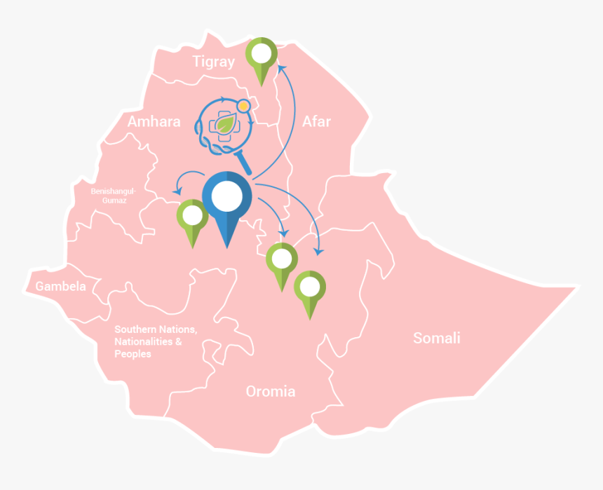 Ethnic Regions In Ethiopia, HD Png Download, Free Download