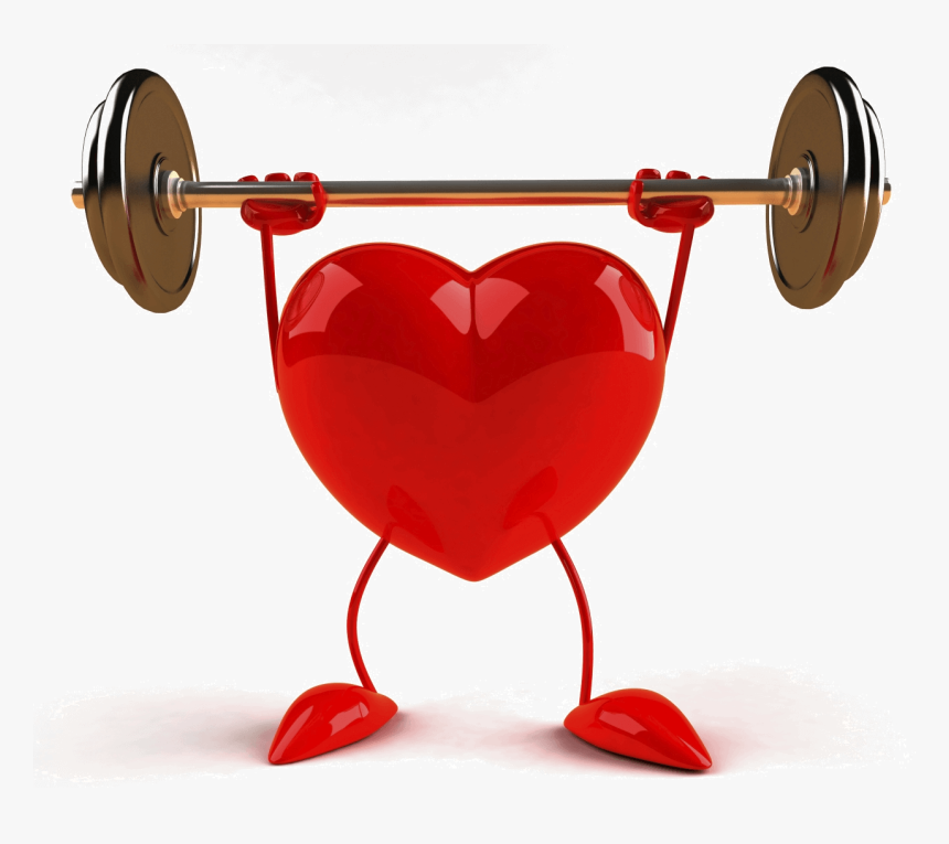Healthy Heart No Background, HD Png Download, Free Download
