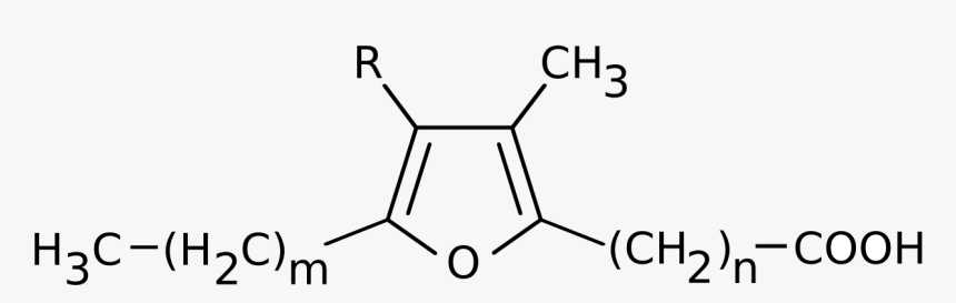 Diethylamine Lewis Structure, HD Png Download, Free Download