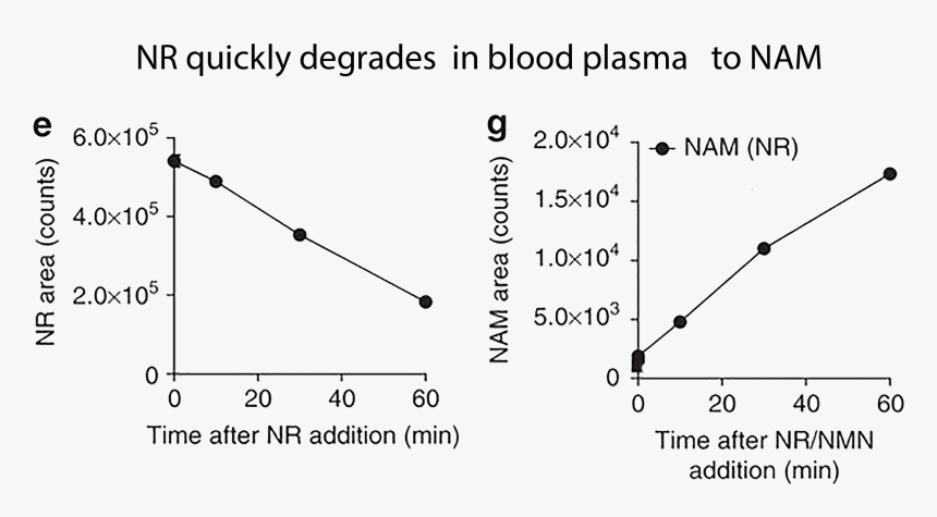 Not Stable In Bloodstream, Hd Png Download , Png Download - Plot, Transparent Png, Free Download