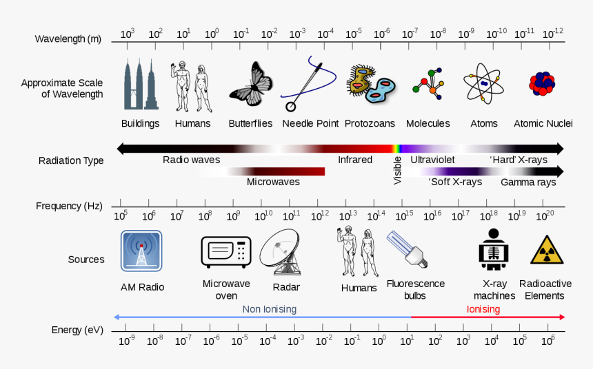 Radiation Therapy Electromagnetic Spectrum, HD Png Download, Free Download