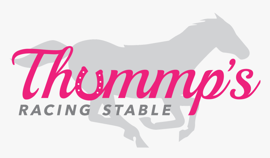 36171926 Thummpsracingstable Final - Graphic Design, HD Png Download, Free Download