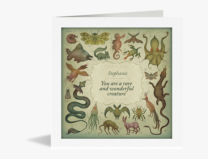 You Are A Wonderful Creature Card - Illustration, HD Png Download, Free Download
