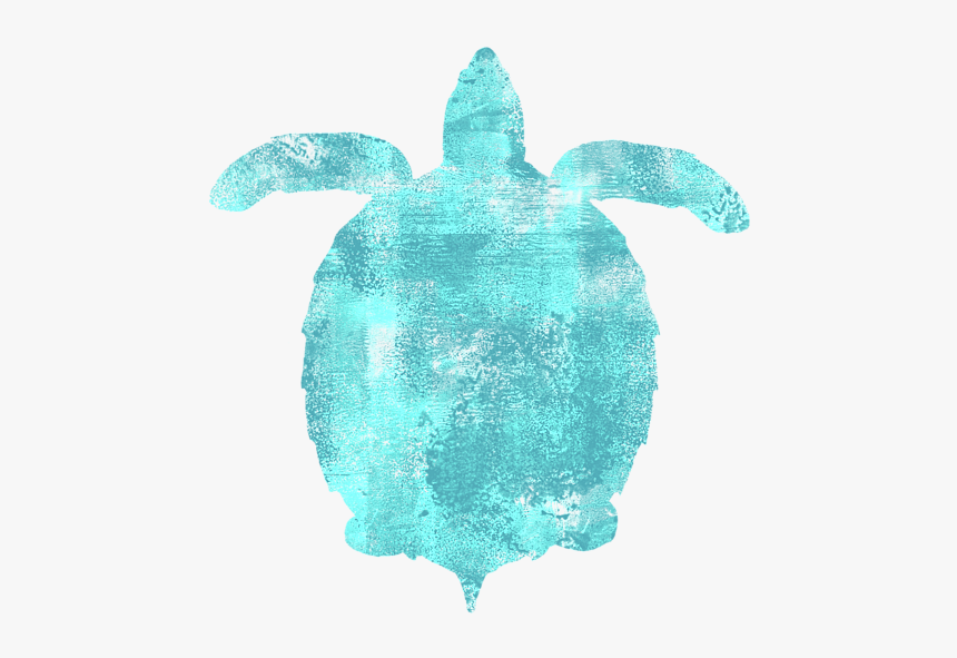 Kemp's Ridley Sea Turtle, HD Png Download, Free Download