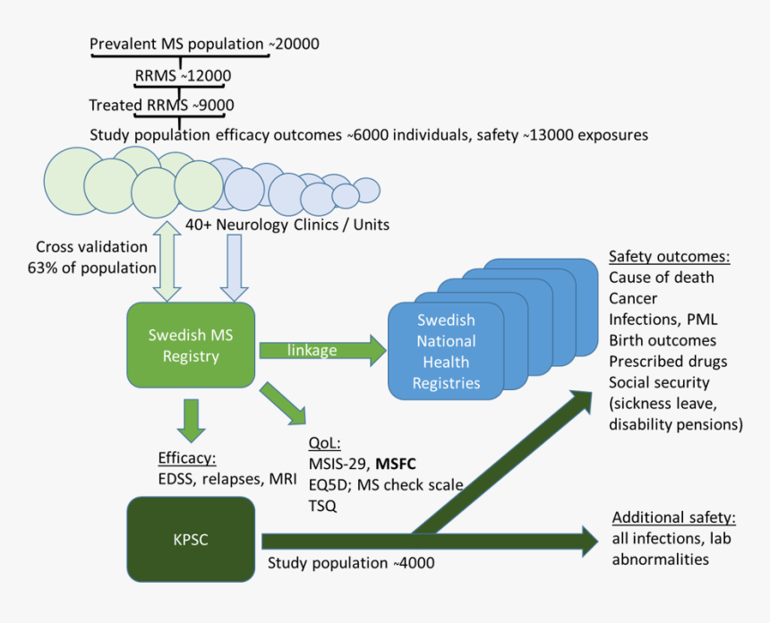 Efficacy And Safety Comparison Of Disease Modifying, HD Png Download, Free Download