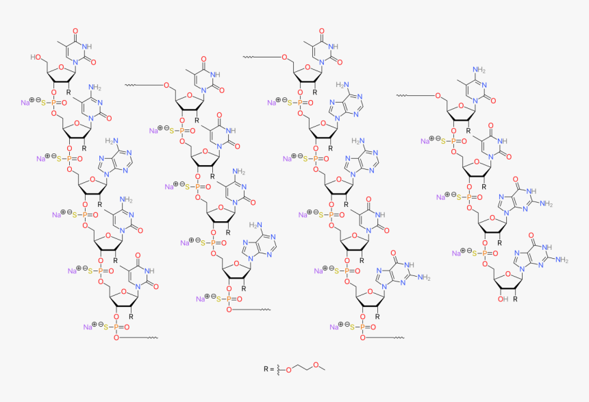 Nusinersen Sodium Colored - Nusinersen Structure, HD Png Download, Free Download