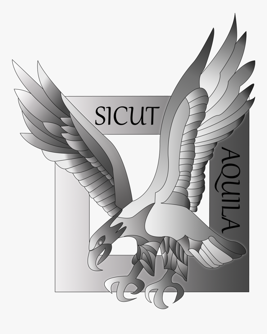 Sicut Aquila Colorisé - Illustration, HD Png Download, Free Download