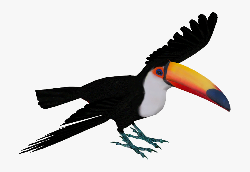 Toco Toucan - Toucan Png, Transparent Png, Free Download