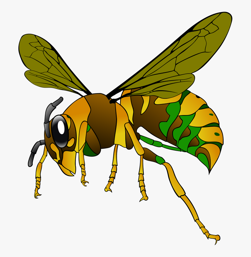 Clipart Hornet, HD Png Download, Free Download