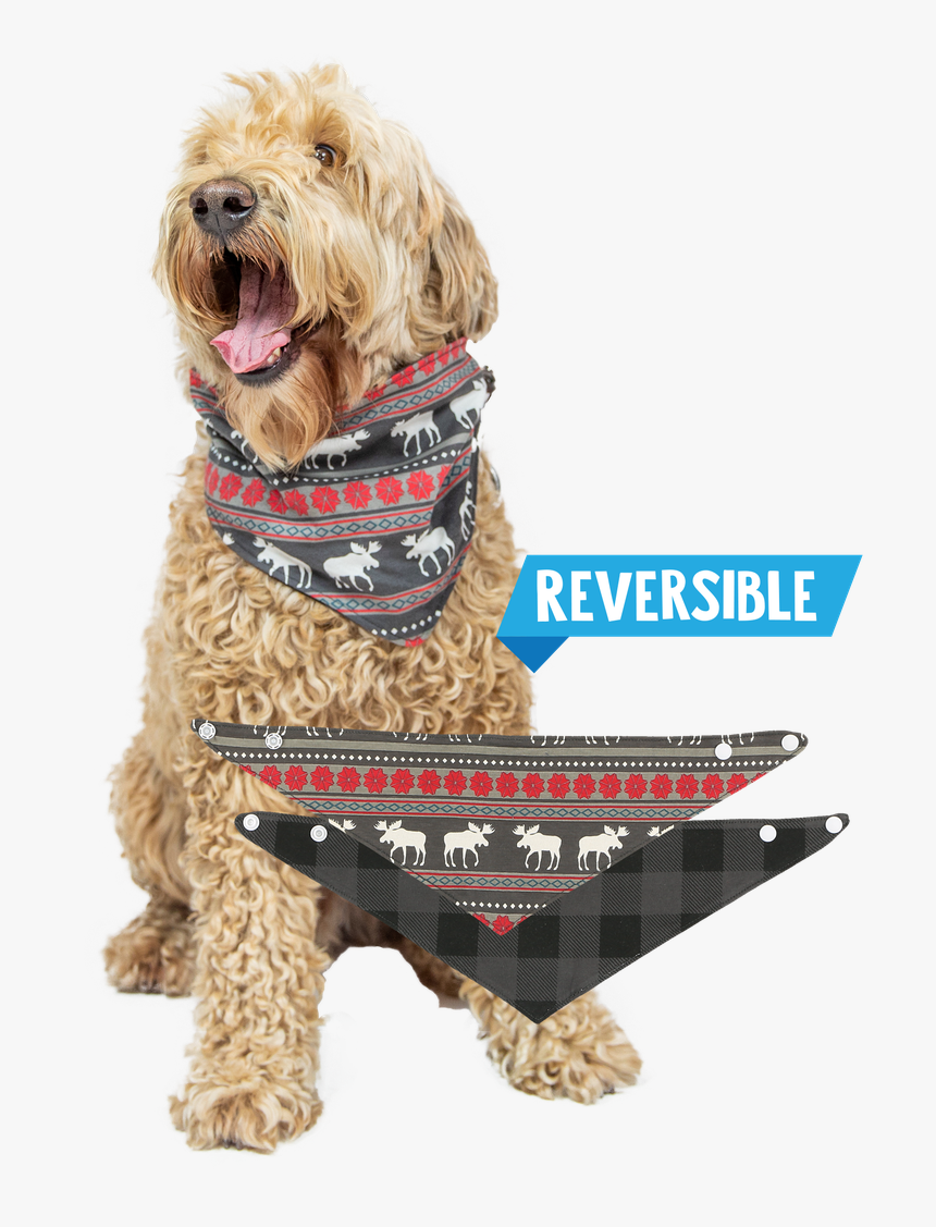 Moose Fair Isle - Labradoodle, HD Png Download, Free Download