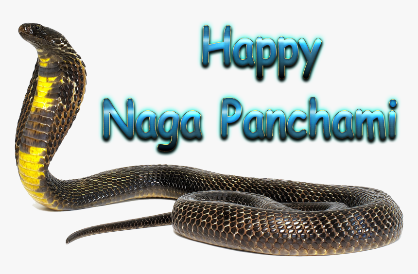 Naga Panchami Transparent Background - Nag Panchami, HD Png Download, Free Download