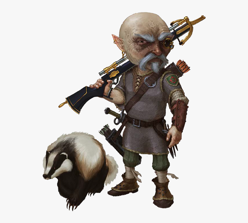 M Gnome Ranger Chain Mail Armor W Crossbow Pet Skunk, HD Png Download, Free Download