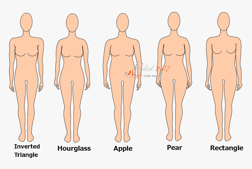 Different Body Shapes For Women, HD Png Download, Free Download