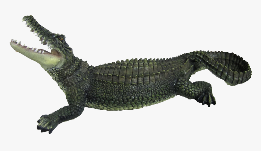 Crocodile Png, Transparent Png, Free Download