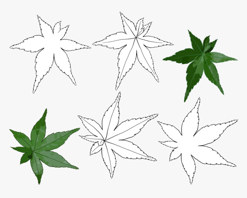 Black And White Maple Leaf Line Art - Daun Hitam Putih Simple, HD Png Download, Free Download