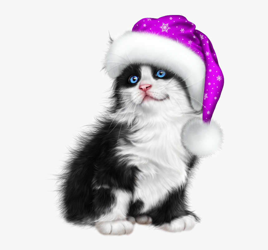 Transparent Christmas Cat Png - Kitten, Png Download, Free Download