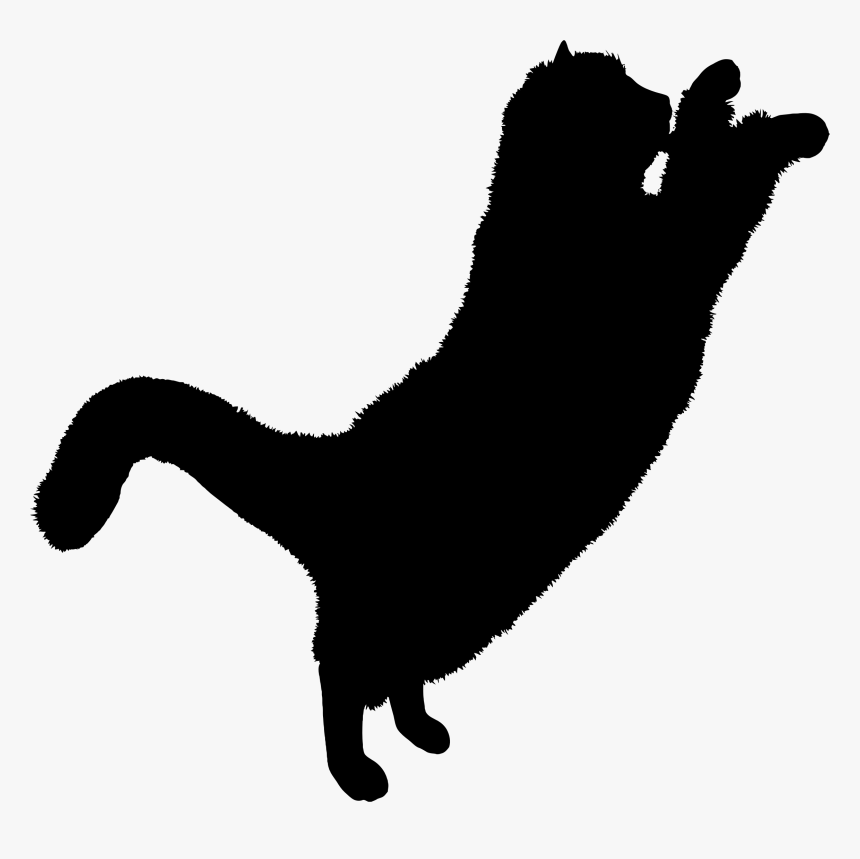 Black Kitten Png - Black Cat Png Transparent, Png Download, Free Download