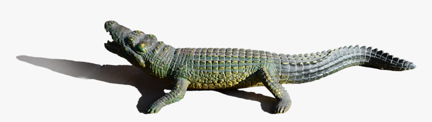 Alligator Png Image - American Crocodile, Transparent Png, Free Download