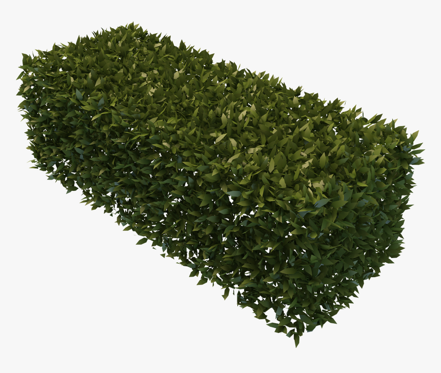 Transparent Bush Png - Transparent Background Bush Png, Png Download, Free Download