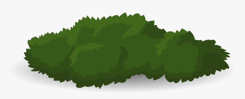 Bush, Green, Shrub, Grass, Lush, Plant, Nature, Growth - Shrubs Vector Png, Transparent Png, Free Download