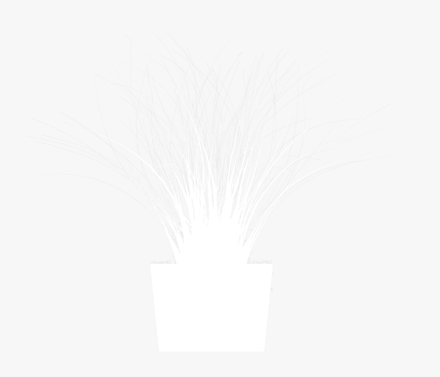 Bush Pot Plant White Clipart Png - Fireworks, Transparent Png, Free Download