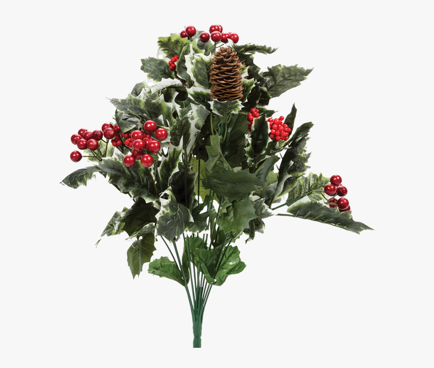 Holly Berry Bush Png, Transparent Png, Free Download