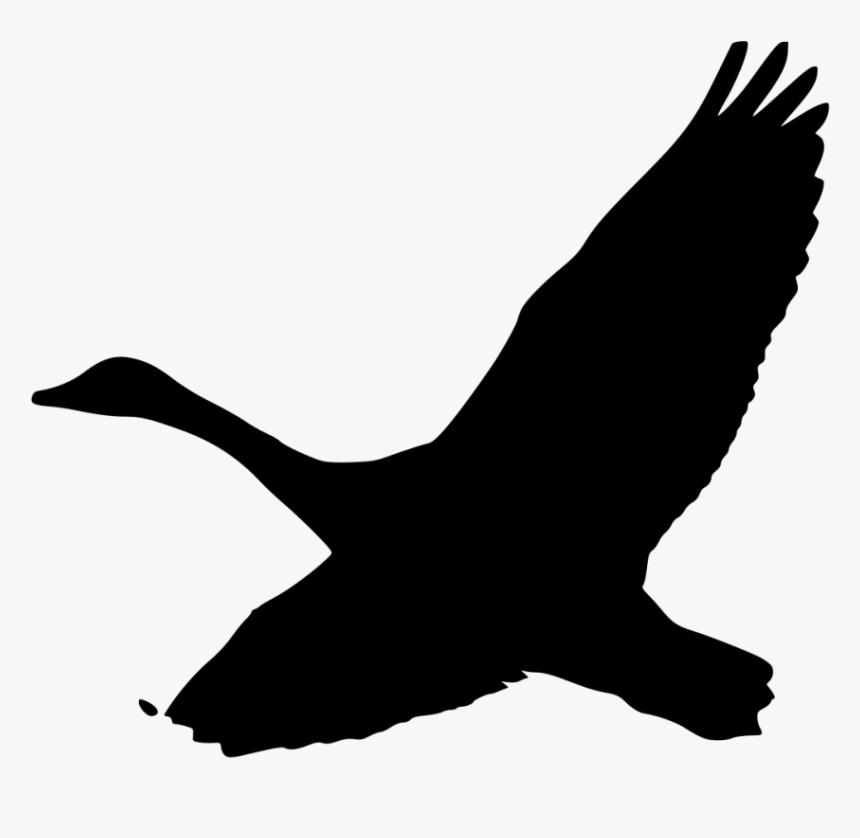 Clip Art Goose Silhouette, HD Png Download, Free Download