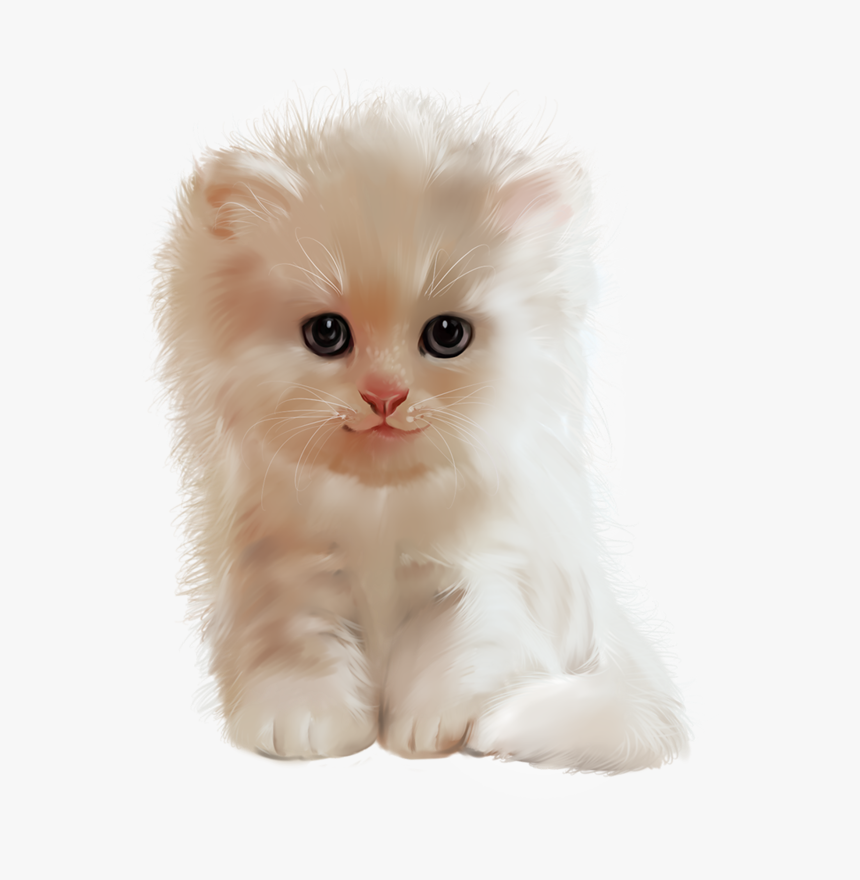 Cat Cute Cats, Dog Cat, Kitten, Kawaii Cat - Blingee Na Dobranoc Gif Kotek, HD Png Download, Free Download