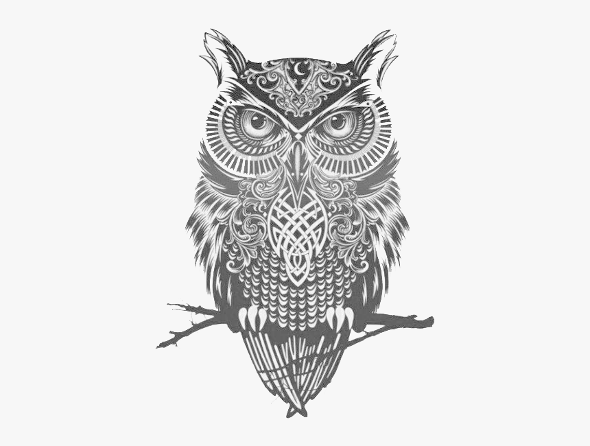 Great Horned Owl Tattoo Flash Idea - Owl Black And White, HD Png Download, Free Download