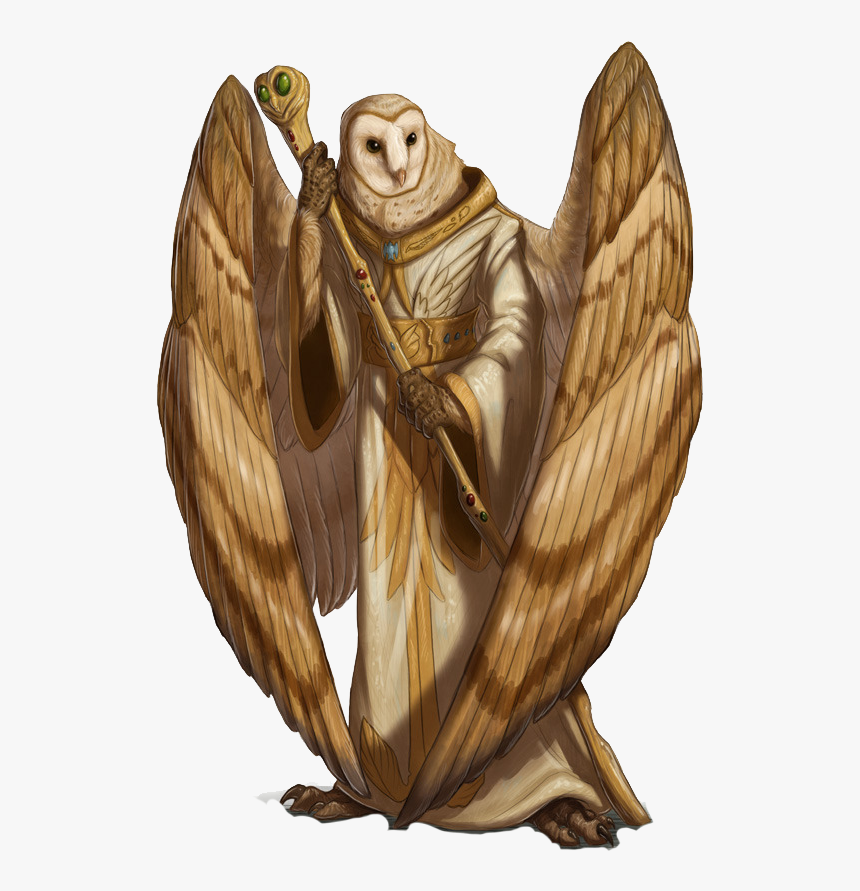 Barn-owl - Aarakocra Tribe, HD Png Download, Free Download