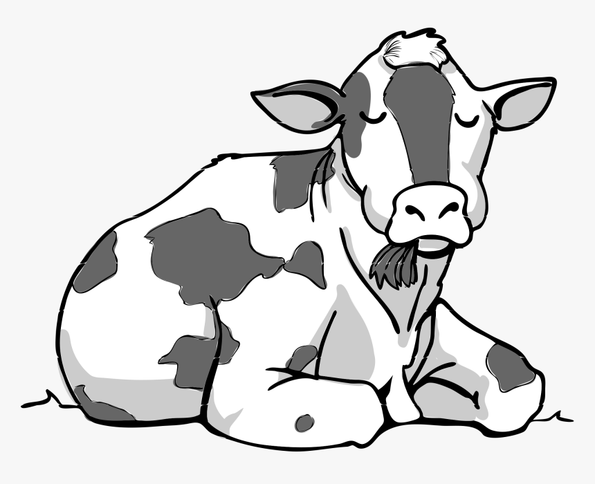 Cow Bw - Cow Sitting Down Clipart, HD Png Download, Free Download