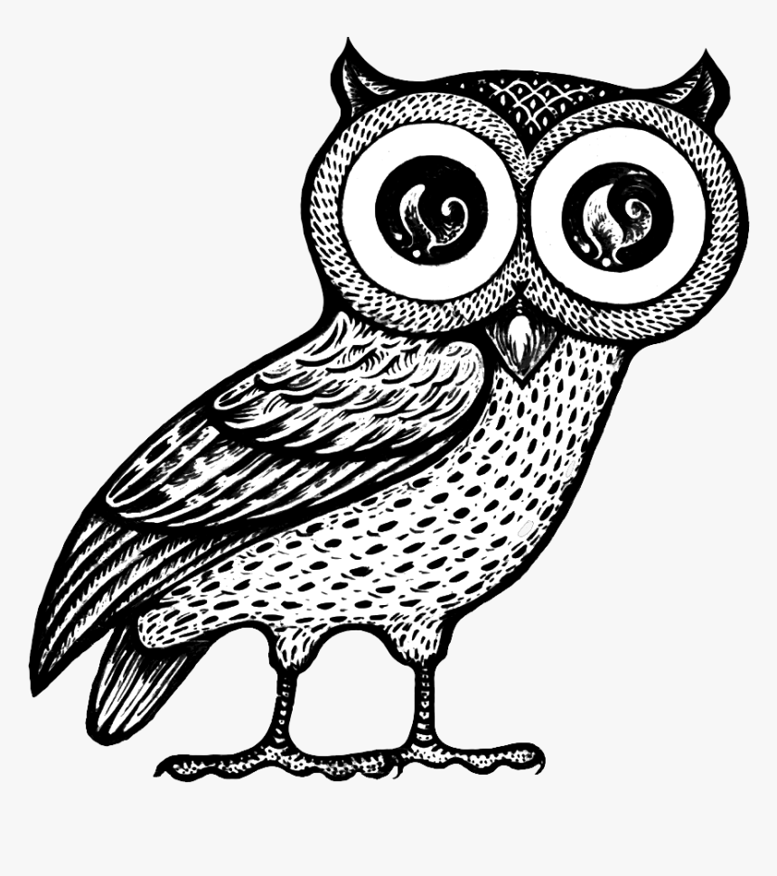 Barn-owl - Athena Owl Png, Transparent Png, Free Download