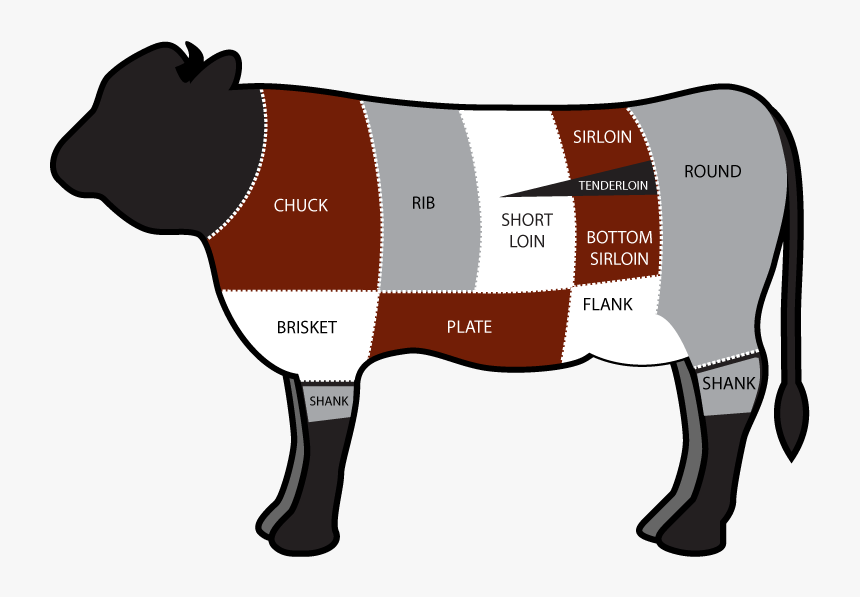 Tacos Clipart Cow - Osso Buco On Cow, HD Png Download, Free Download