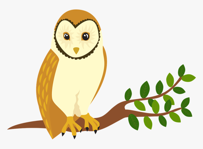 Owl Forest Animal Tree Bird - Owl Perched Clipart, HD Png Download, Free Download