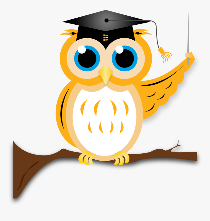 Transparent Png Owl - Owl Graduation Transparent Png, Png Download, Free Download