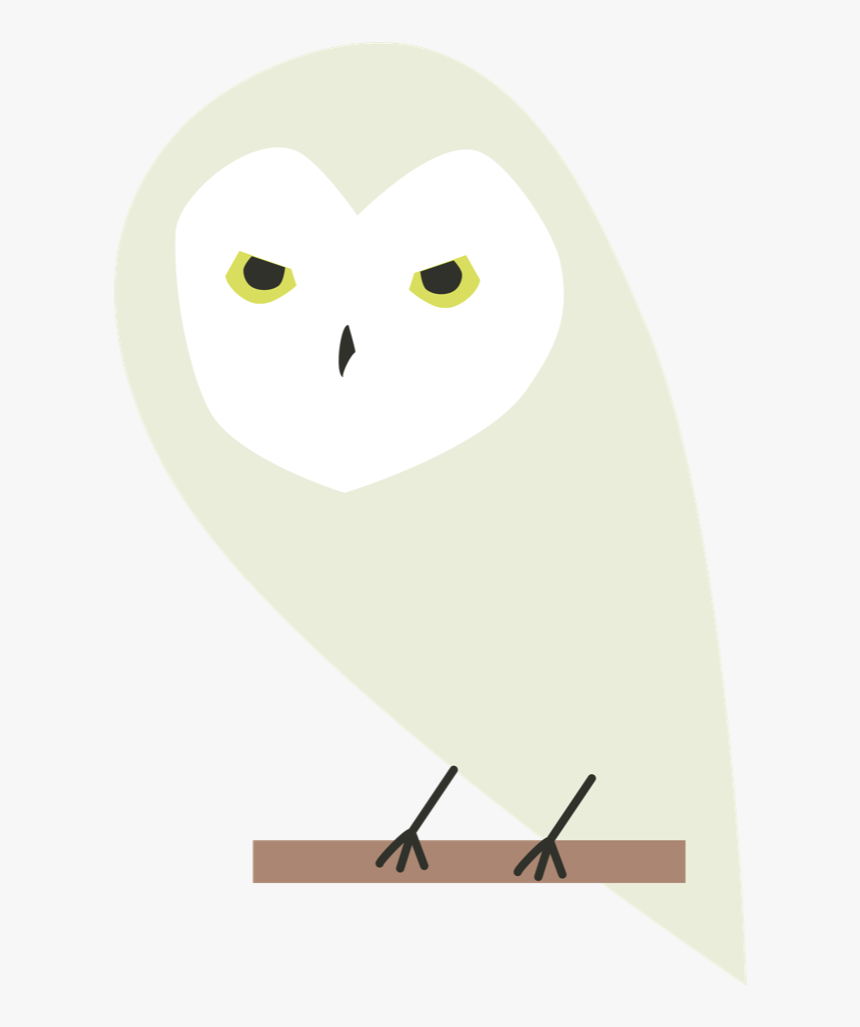 Nick Comben Gryffindor - Snowy Owl, HD Png Download, Free Download