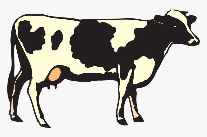 Cow Png - Art Cow, Transparent Png, Free Download