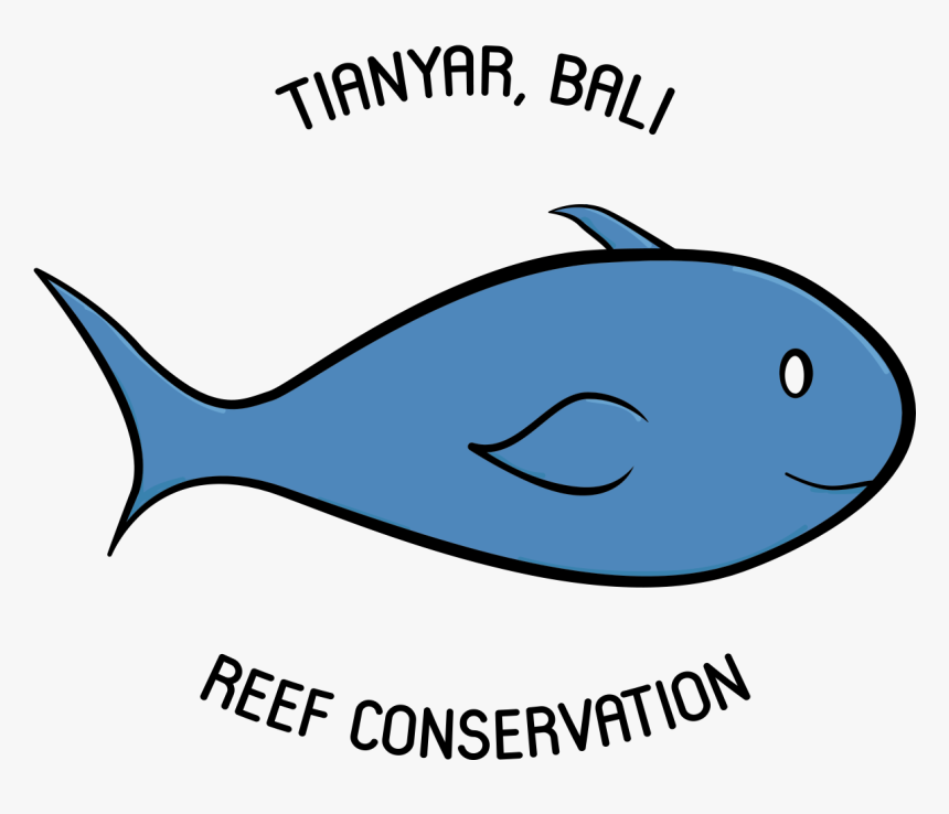 About Us Marine Conservation Volunteer Program In Bali,, HD Png Download, Free Download
