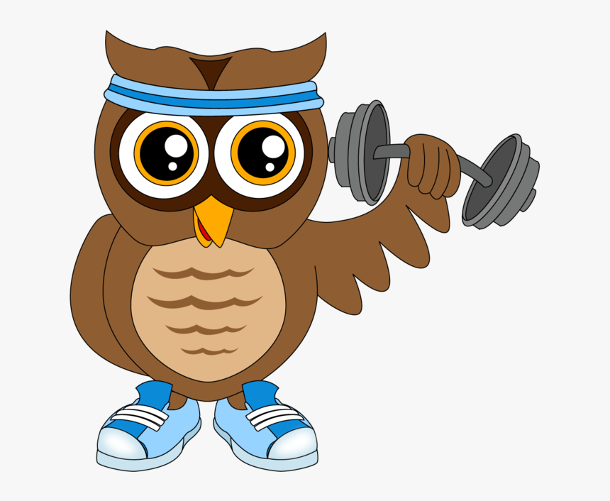 Owl, HD Png Download, Free Download