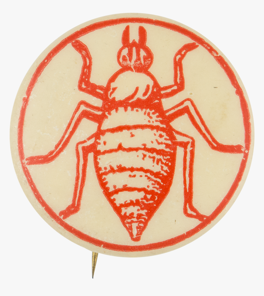 Military Order Of The Cootie Club Button Museum - Beetle, HD Png Download, Free Download