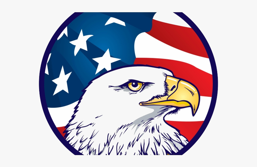 Eagle Drawn American Flag Transparent Background Clipart - American Flag Bald Eagle Drawing, HD Png Download, Free Download