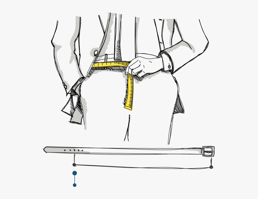 The Measurement Of Your Waist Corresponds To The Length - Cartoon, HD Png Download, Free Download