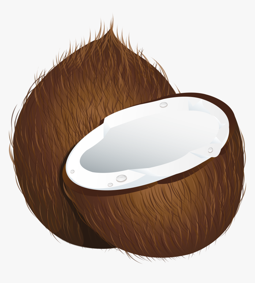 Coconut Water Coconut Milk Clip Art - Coconut Clipart Png, Transparent Png, Free Download