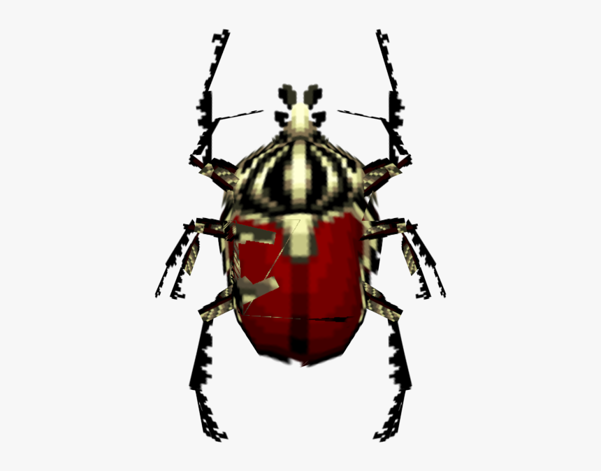 Download Zip Archive - Tiger Beetle, HD Png Download, Free Download