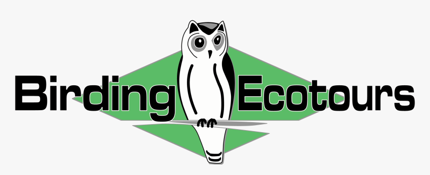 Birding Ecotours Logo, HD Png Download, Free Download