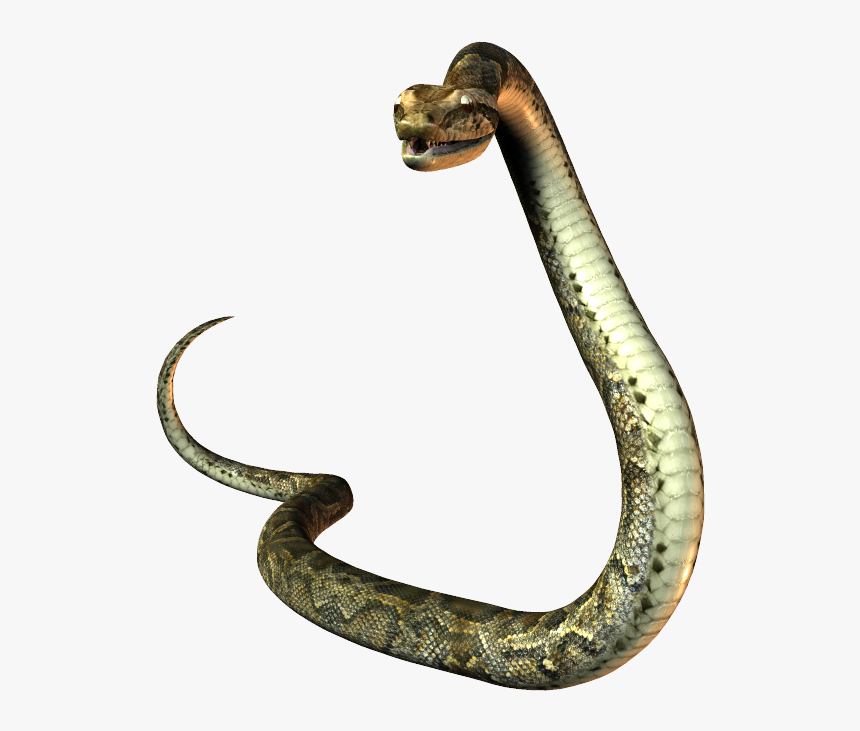 Snake Tail Png - Snake Gif Transparent Background, Png Download, Free Download