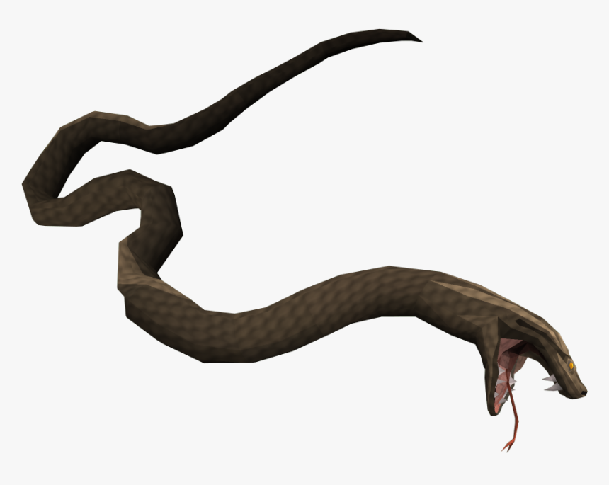 The Runescape Wiki - Swamp Snake Png, Transparent Png, Free Download