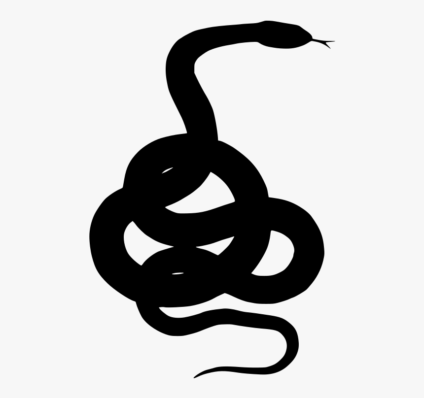 Transparent Pictures Of Snake, HD Png Download, Free Download