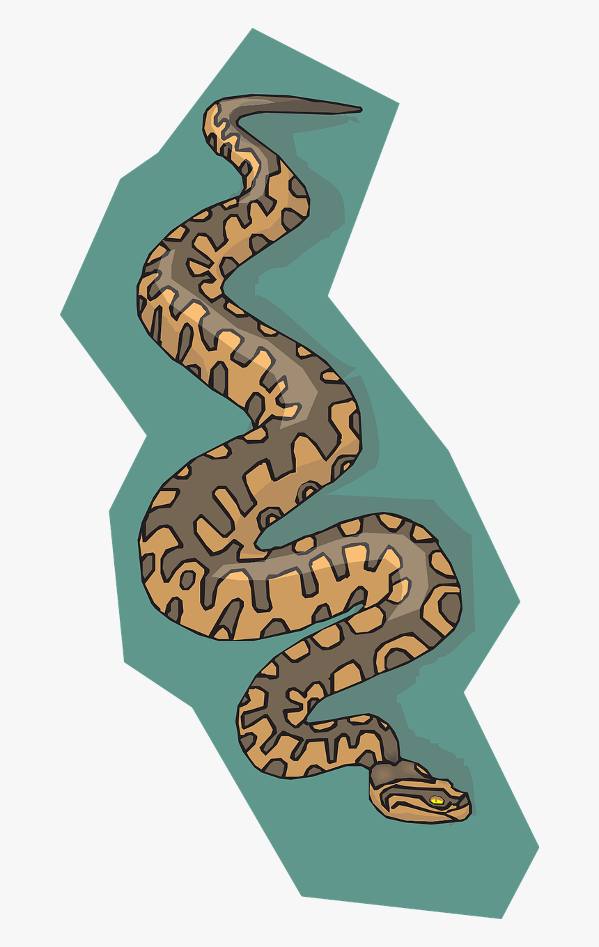 Transparent Snake Vector Png - พื้น หลัง สัตว์ เลื้อยคลาน, Png Download, Free Download