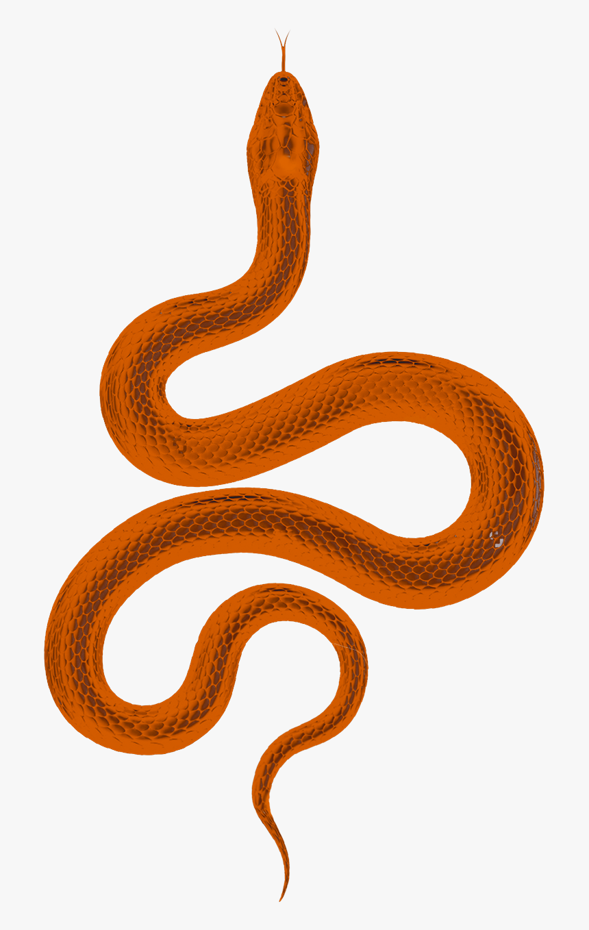 Serpent, HD Png Download, Free Download